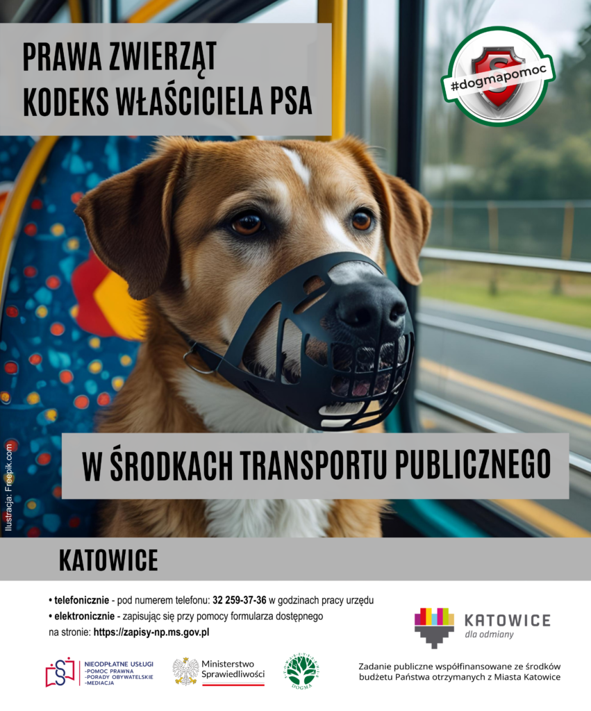 W środkach transportu publicznego