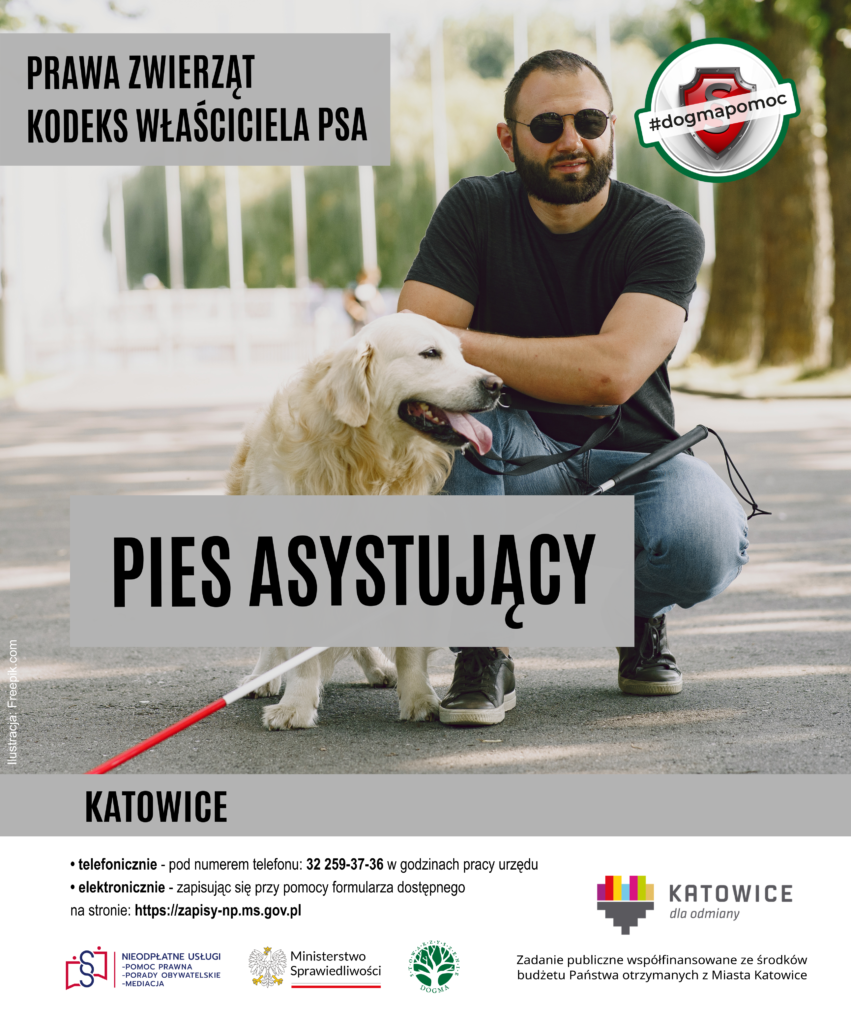 Pies asystujący