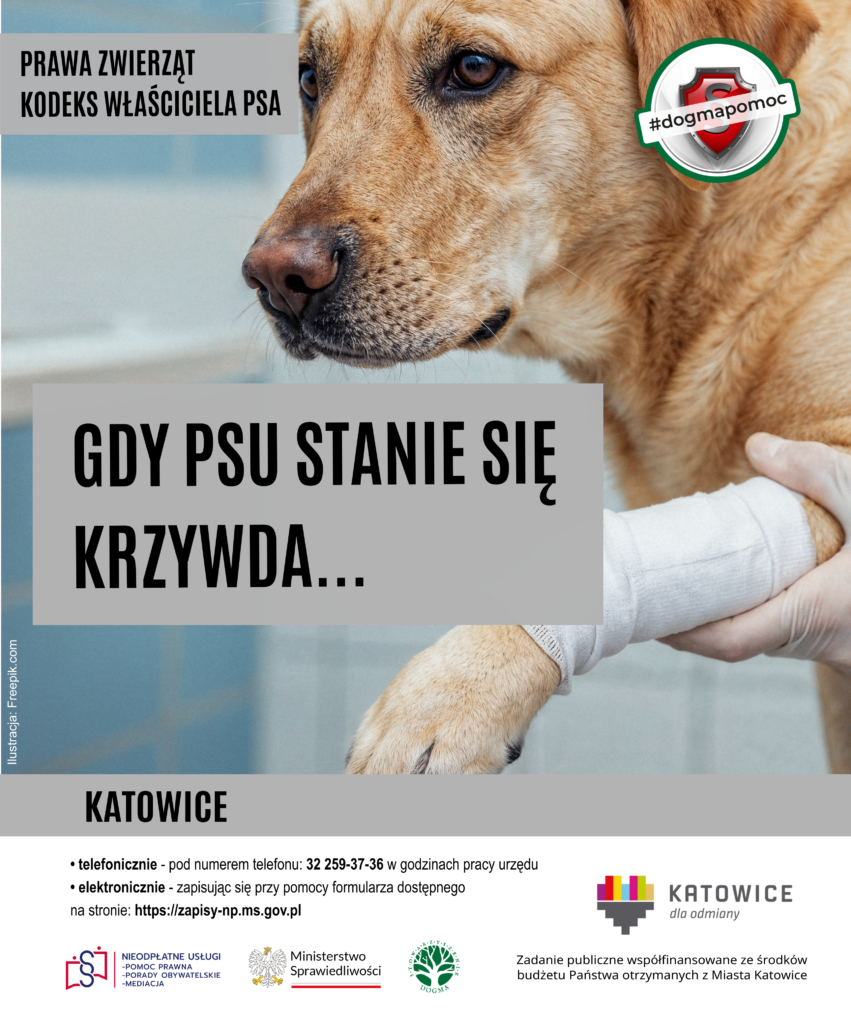 Gdy psu stanie się krzywda...