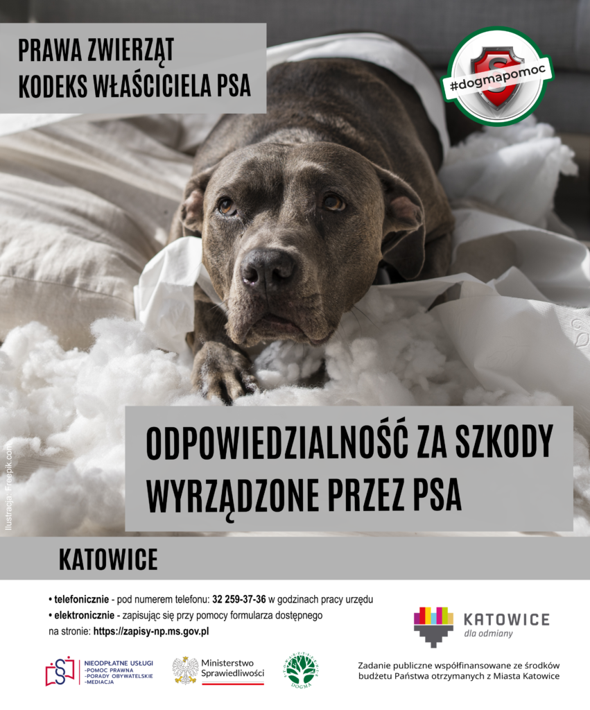 Odpowiedzialność za szkody wyrządzone przez psa