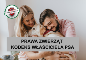 Prawa zwierząt. Kodeks właściciela psa