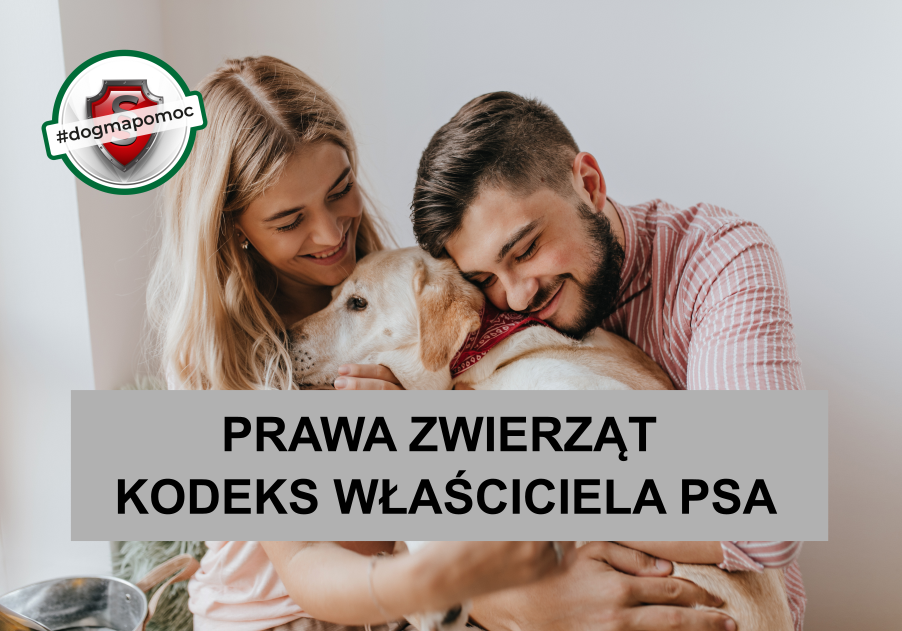 Prawa zwierząt. Kodeks właściciela psa