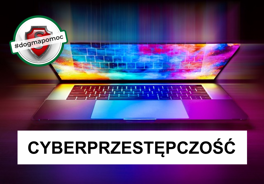 Cyberprzestępczość