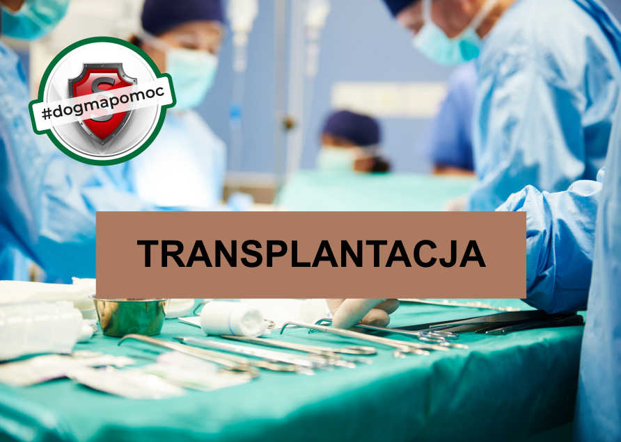 Transplantacja